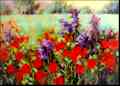 ''Poppy Series II'' by Carol Reeves, Oil, 30'' x 40'', Landscape